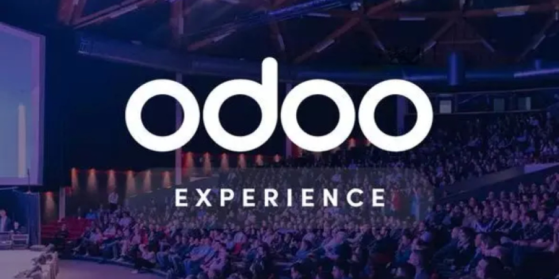 odoo experience